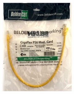 کابل شبکه belden متر cat 62
